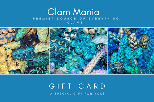 Clam Mania Gift Card